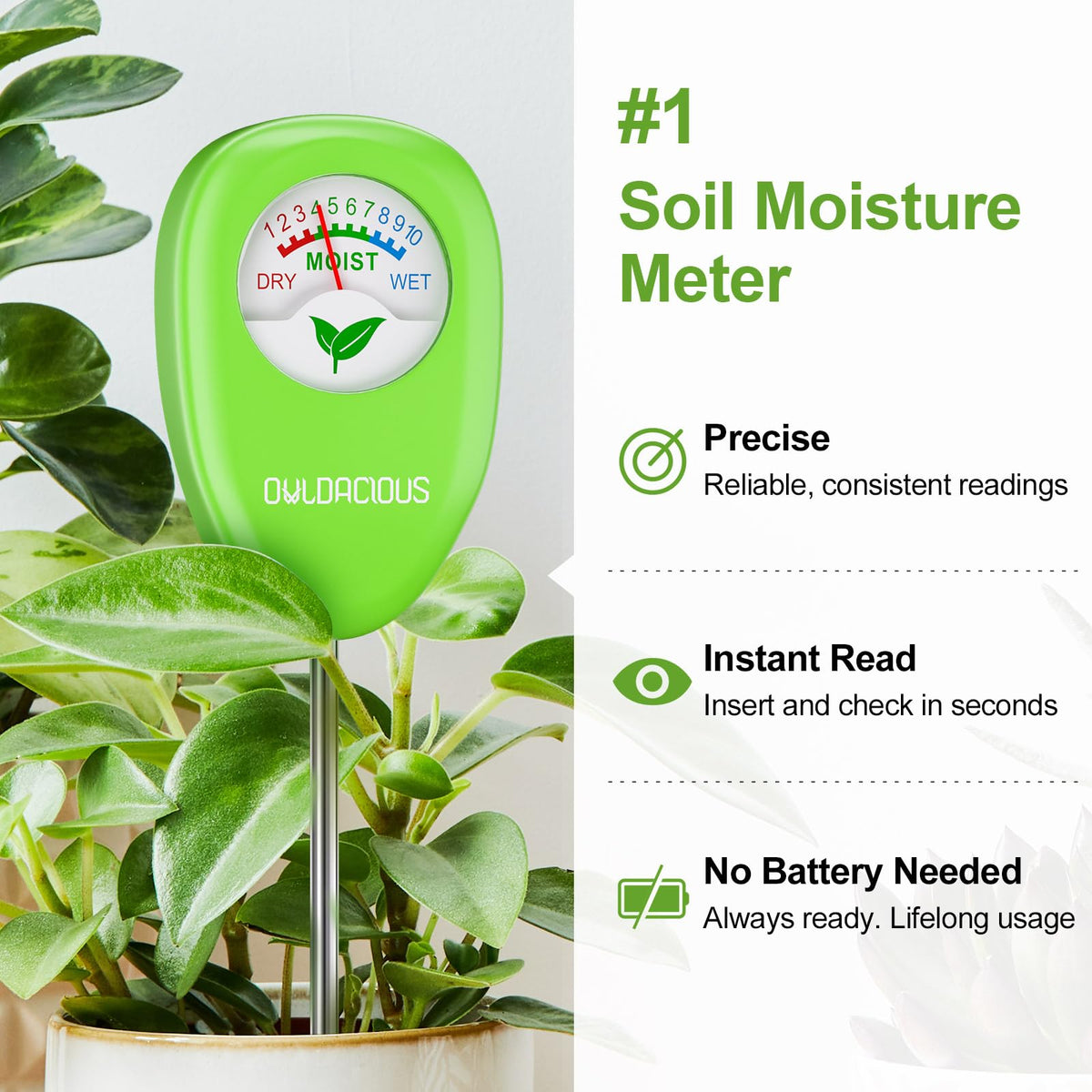 Owldacious 200+ plants guide booklet included for plant care reference.
