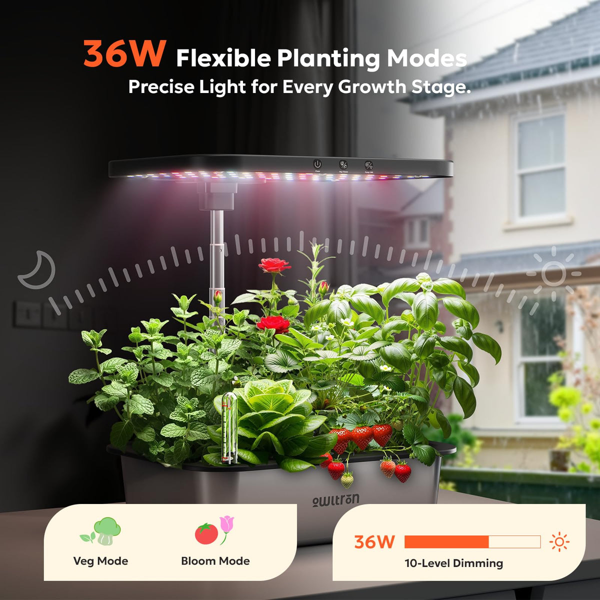 Owltron 36W LED grow light powers healthy leafy greens.
