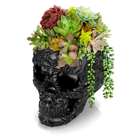 OwnMy resin skull planter front view, bold gothic accent for indoor decor.