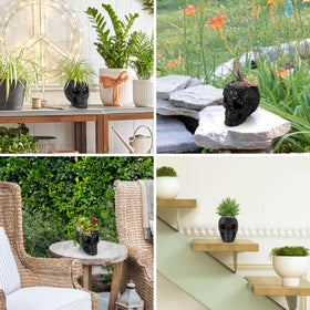 OwnMy resin skull planter tabletop display on desks or shelves.