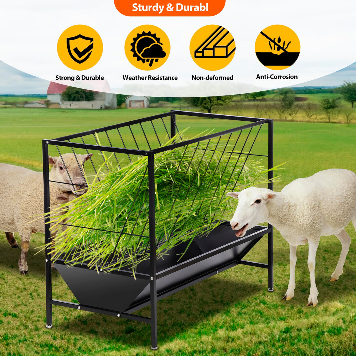Oxphanor feeder dual compartments separate forage and grain for reduced waste
