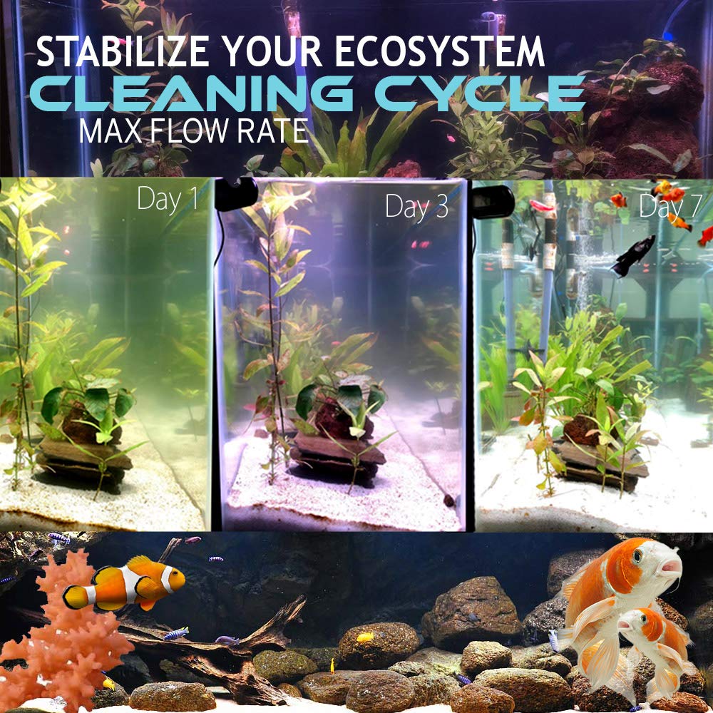 OXYFUL clarifies aquarium water, delivering a visible improvement in clarity for viewing