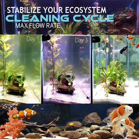 OXYFUL clarifies aquarium water, delivering a visible improvement in clarity for viewing