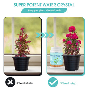 Oycevila water crystals spoon measuring portion for efficient irrigation planning.