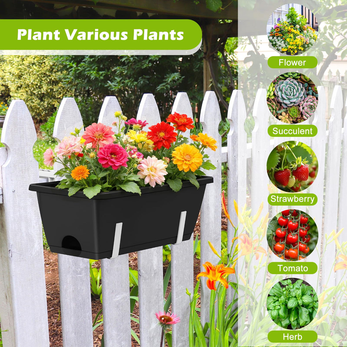 OYEAL detachable bottom tray for easy water management and stability.