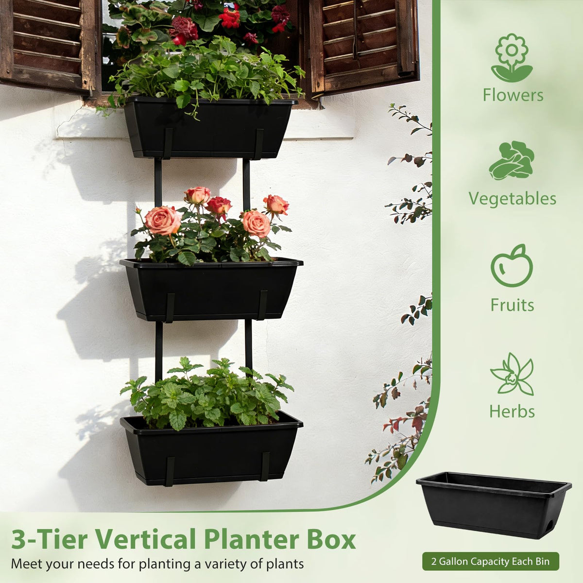 OYEAL drainage holes and trays help manage moisture in containers.
