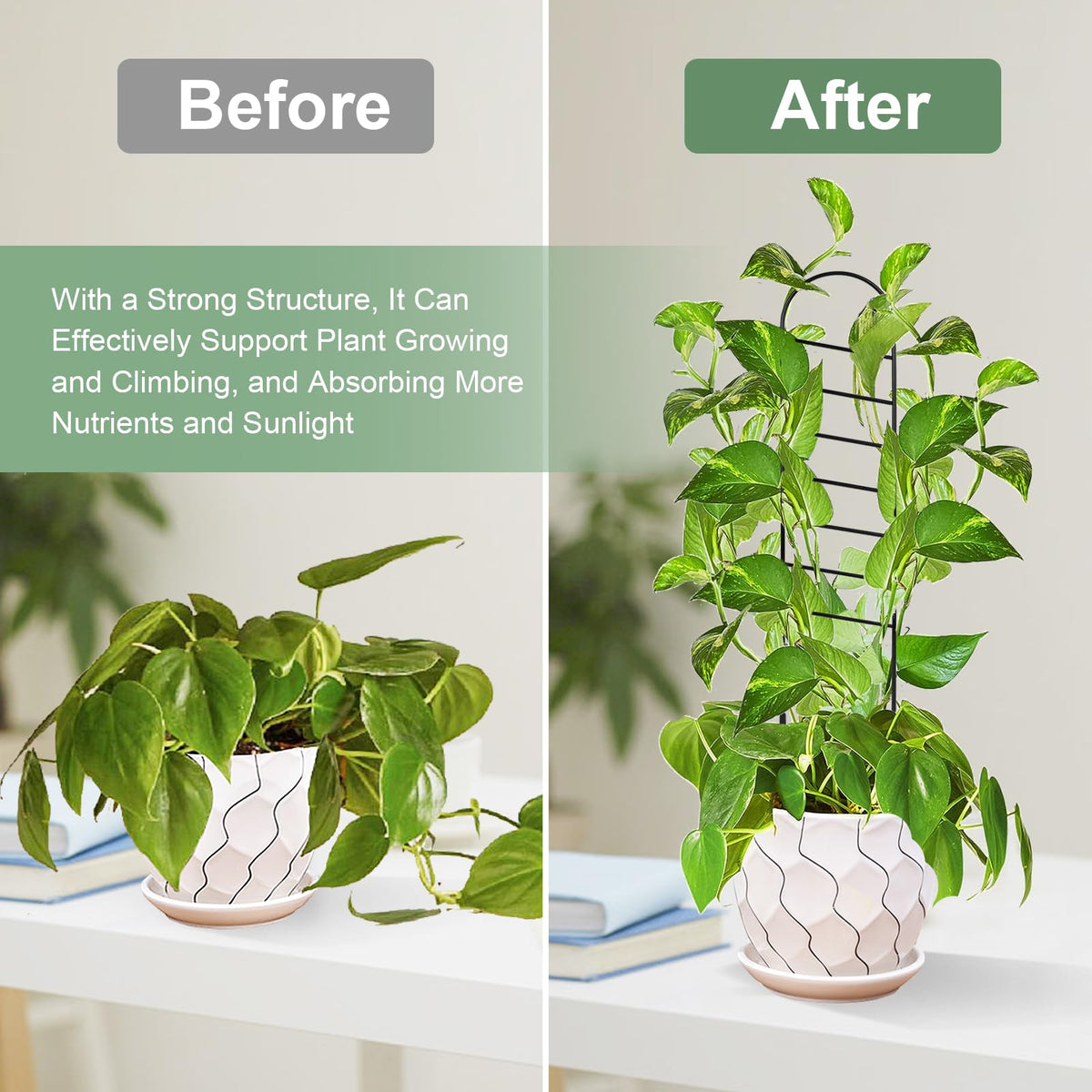 OYOEETD green tie-straps secure vines without harming stems