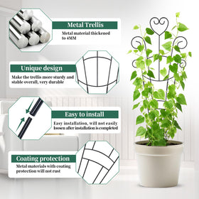 OYOEETD heart trellis in pot with ivy; promotes vertical growth for climbing plants.