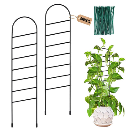 OYOEETD ladder trellis supports organized indoor plant growth and sturdy climbers