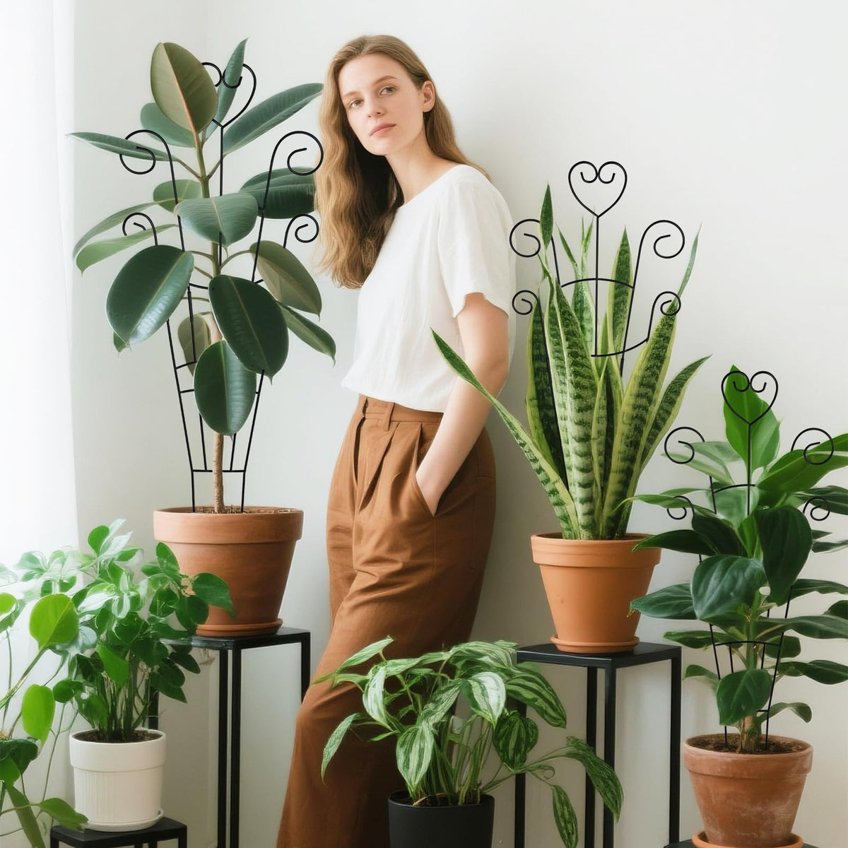 OYOEETD Monstera and hoya with trellis; supports upward growth and stability.