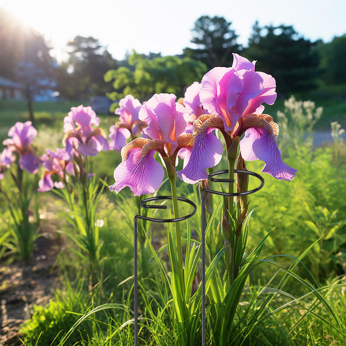 OYOEETD outdoor stake ideal for orchids, roses, and lilies