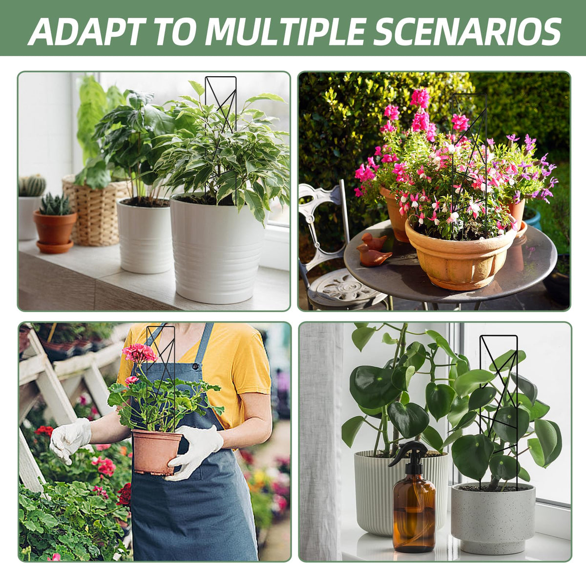 OYOEETD star-metal-indoor-garden-display complements any indoor plant setup.