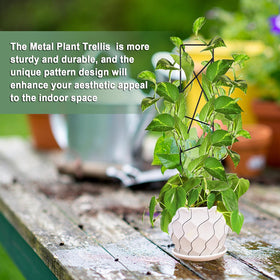 OYOEETD star-metal plant-support-climbing protects delicate stems in homes and patios.