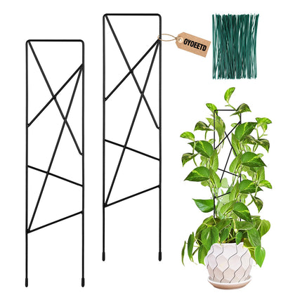 OYOEETD star-metal plant trellis 2-pack enhances indoor climbing plant support.