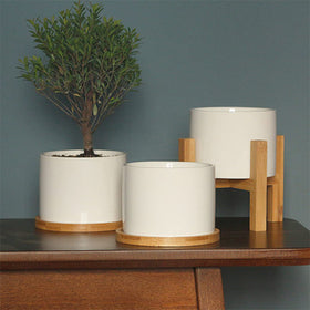 OYSIR 3-pack bamboo saucers display, ready for multiple pots.