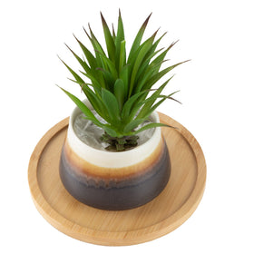 OYSIR raised-edge tray contains soil and water spills
