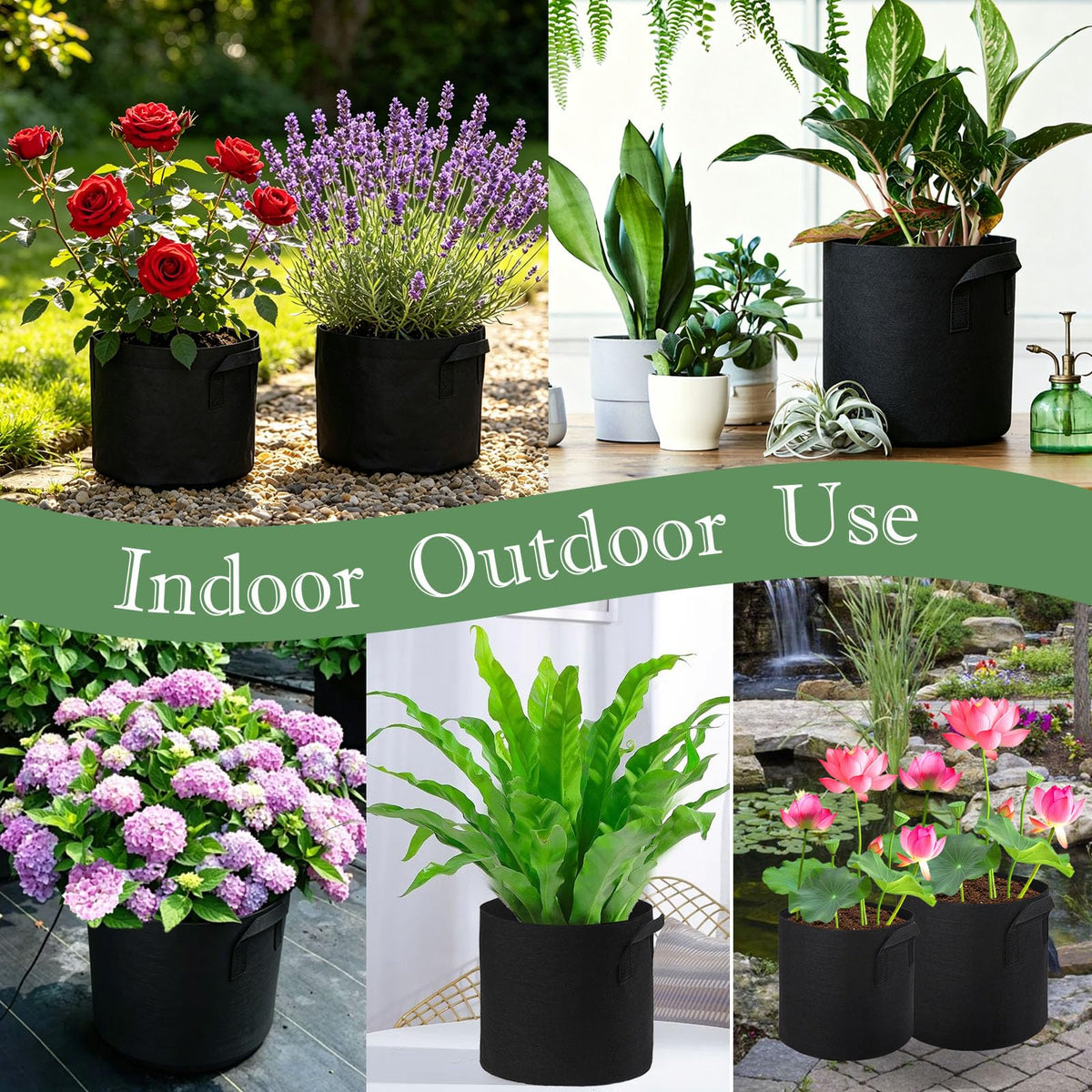 OZIO aquatic garden setup with these pots promotes neat arrangement around water plants