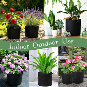 OZIO aquatic garden setup with these pots promotes neat arrangement around water plants