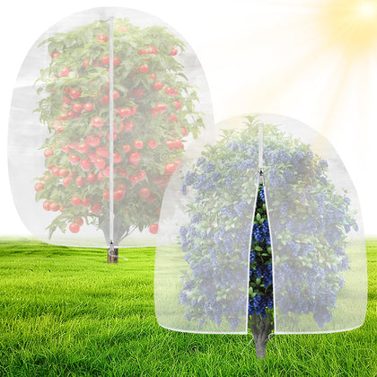 OZMI 2-pack bird netting over blueberry bushes protects fruit