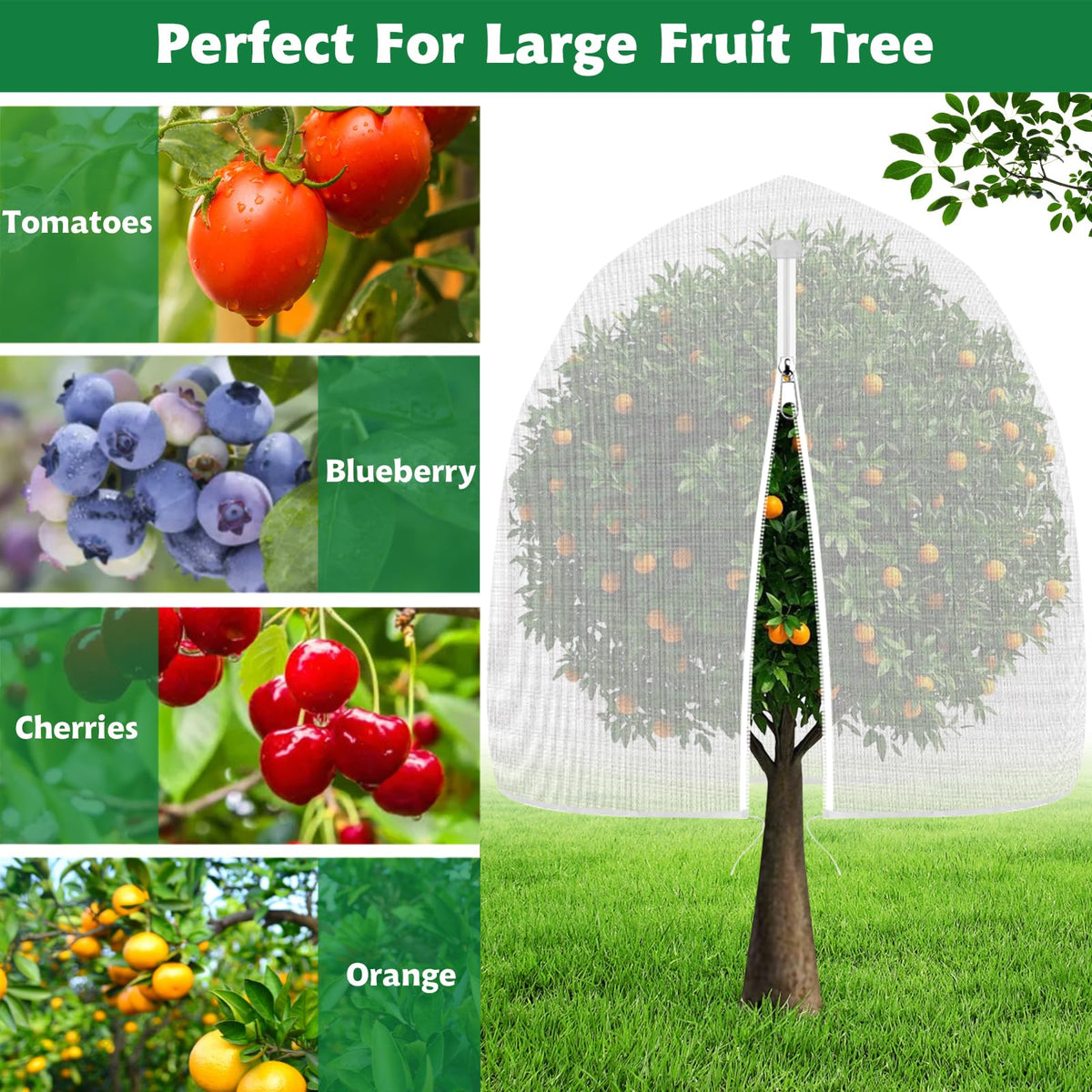 OZMI cover for shrubs and fruit trees protects ripening fruit