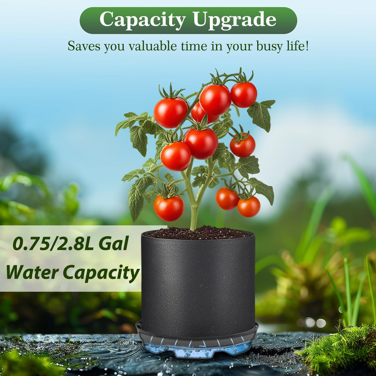 Grid design with 360° ventilation supports healthy root air flow.