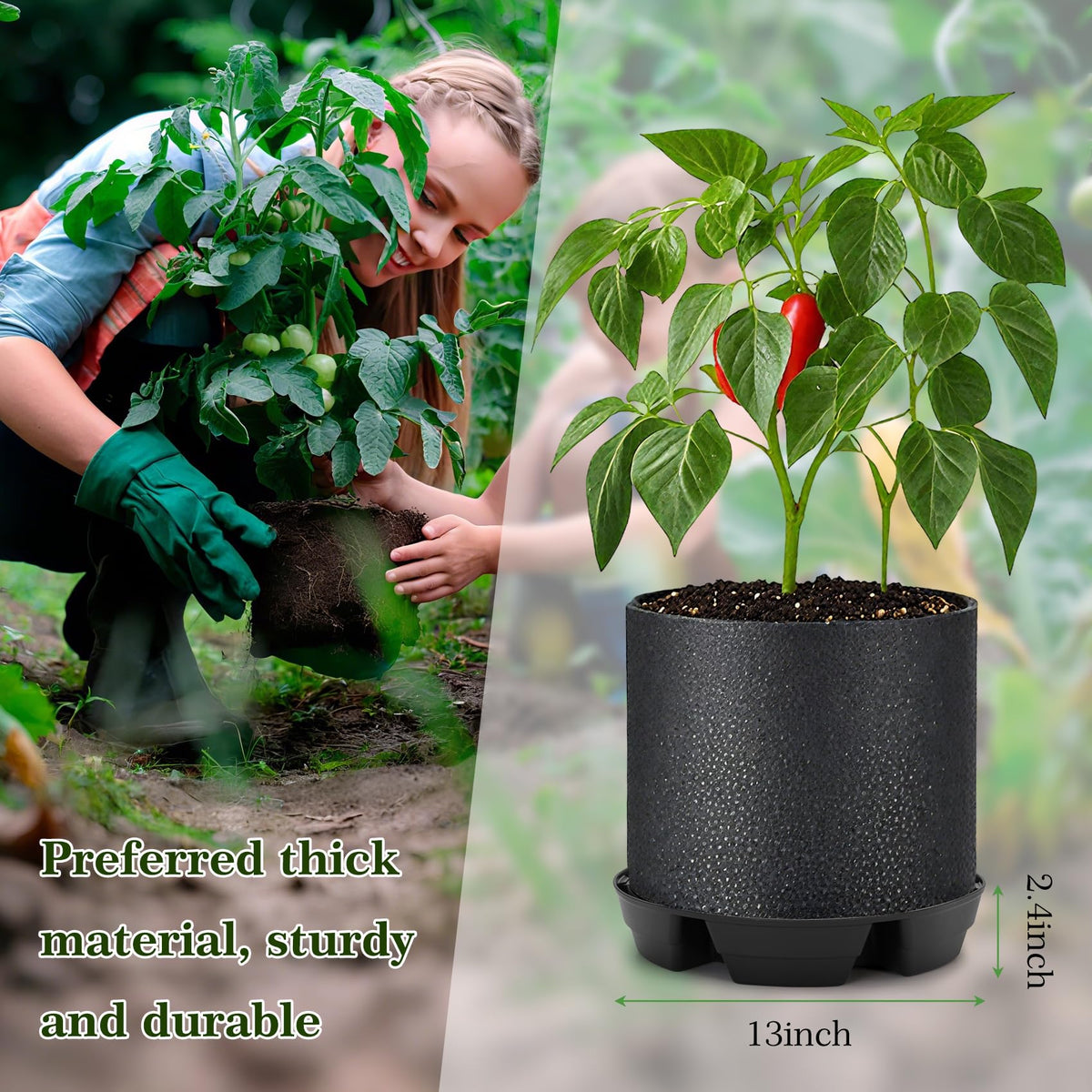 Protective grid elevates and buffers roots from the ground.