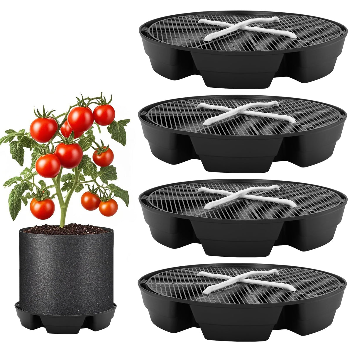 P Polerden self-watering saucer pack demonstrates auto irrigation for fabric planters.