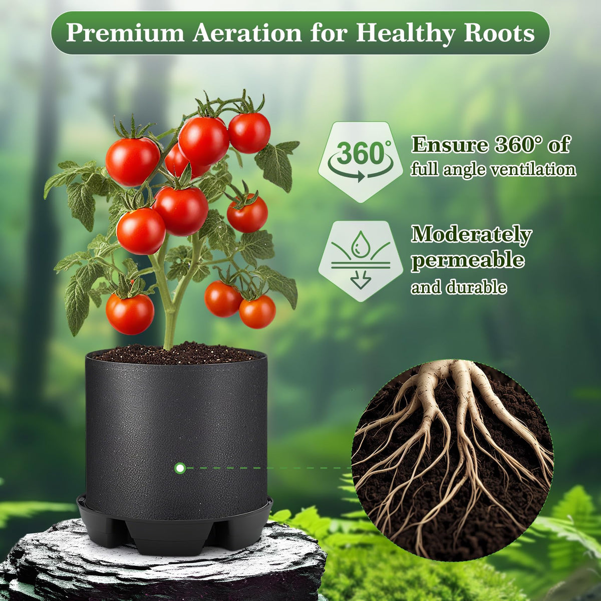 Absorbent cotton threads transfer water to plant roots in P Polerden base.