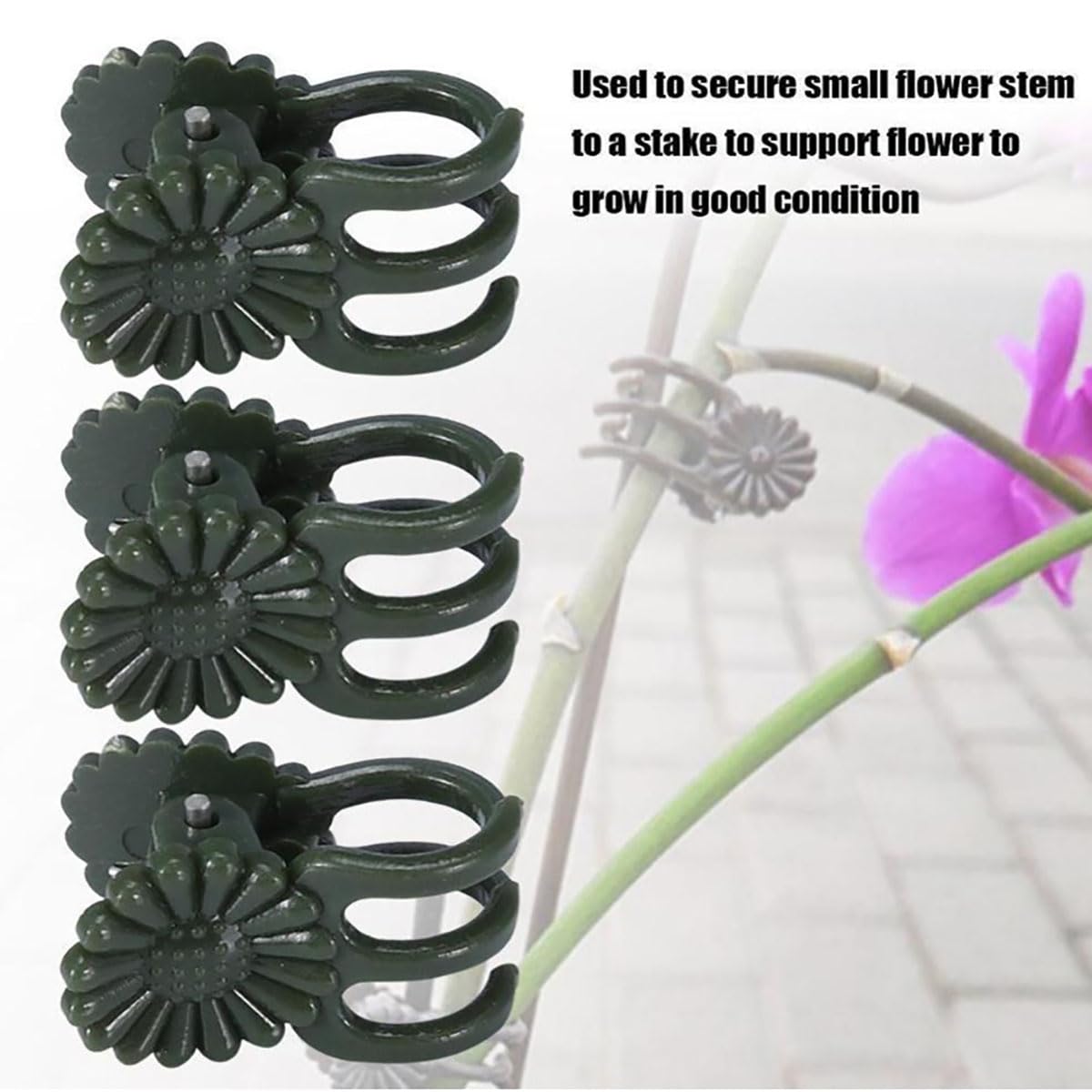 Paalee indoor outdoor ready trellis blends modern style with function