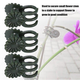 Paalee indoor outdoor ready trellis blends modern style with function
