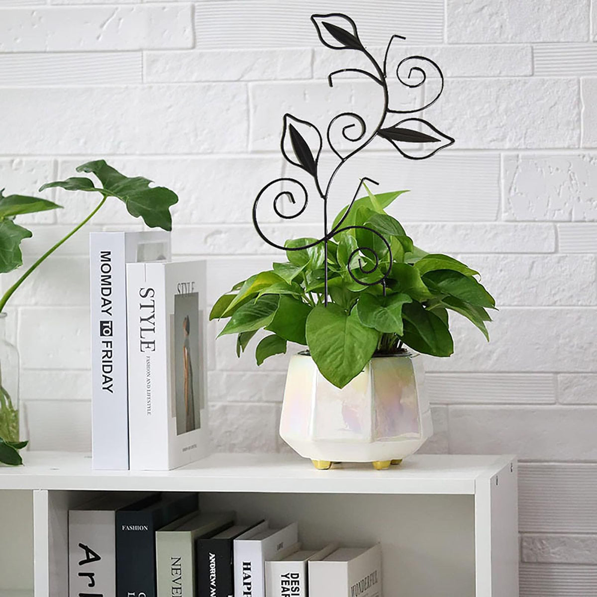Paalee measures 16.1 by 8.6 inches suitable for small to medium pots