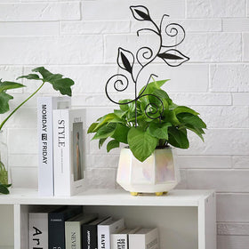 Paalee measures 16.1 by 8.6 inches suitable for small to medium pots