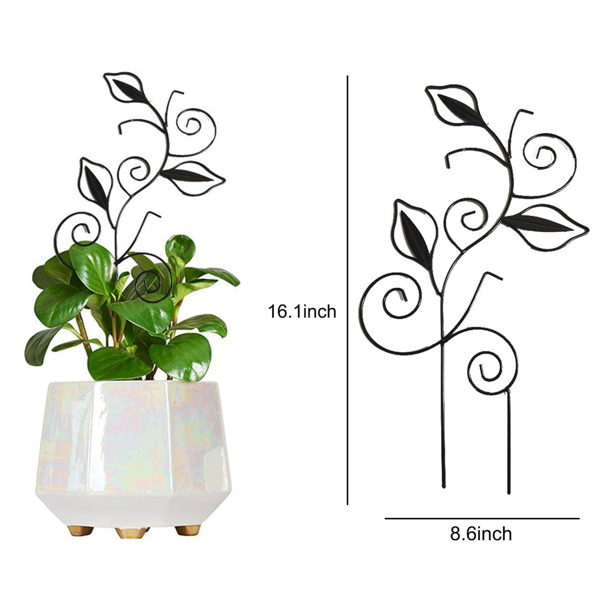 Paalee six flower shaped clips secure vines to the trellis