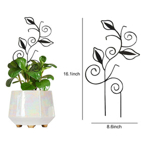 Paalee six flower shaped clips secure vines to the trellis