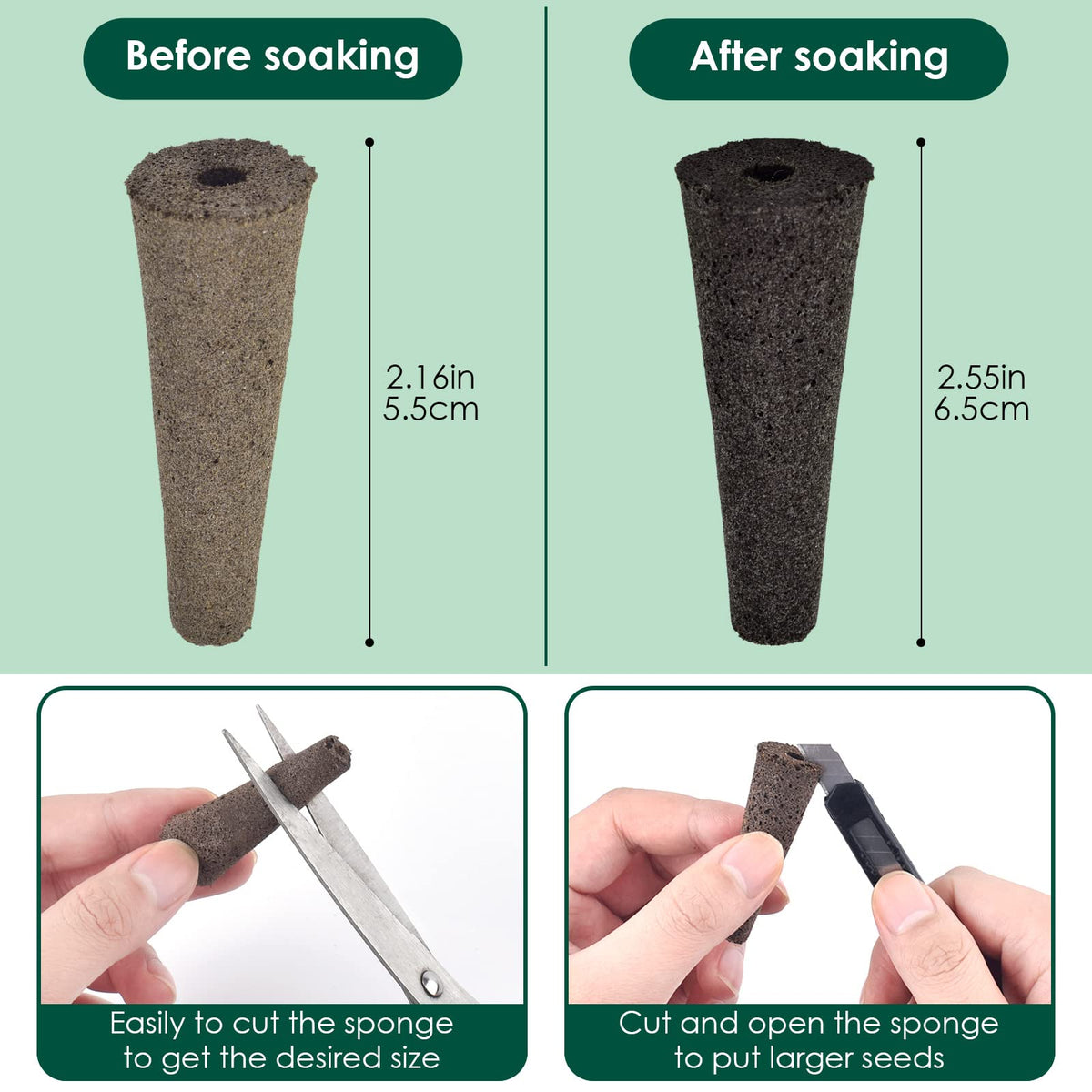 PACETAP aerogarden-compatible refill sponge highlighting clean, pest-free root environment for healthy growth.