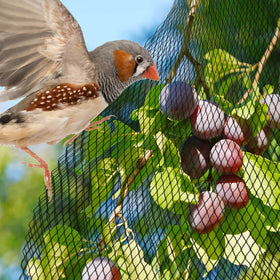 PACETAP netting protecting koi and goldfish from birds and cats.