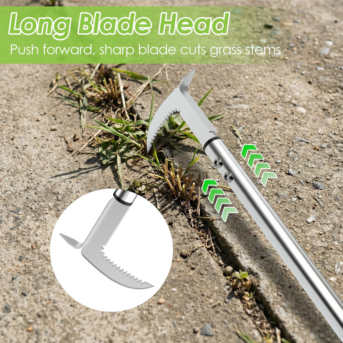 PadPure crevice weeder reaching narrow spaces between stones for moss removal