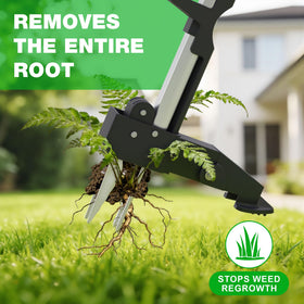 PadPure weed puller in garden scene showing safe, chemical-free control.
