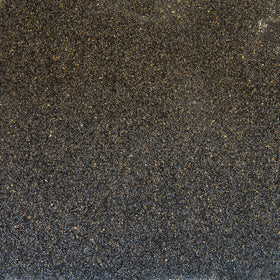 Palm Beach Medicinal Herbs patchouli seeds close-up highlighting earthy texture and potential aroma