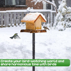PAMASE yard setup shows a complete bird feeding station