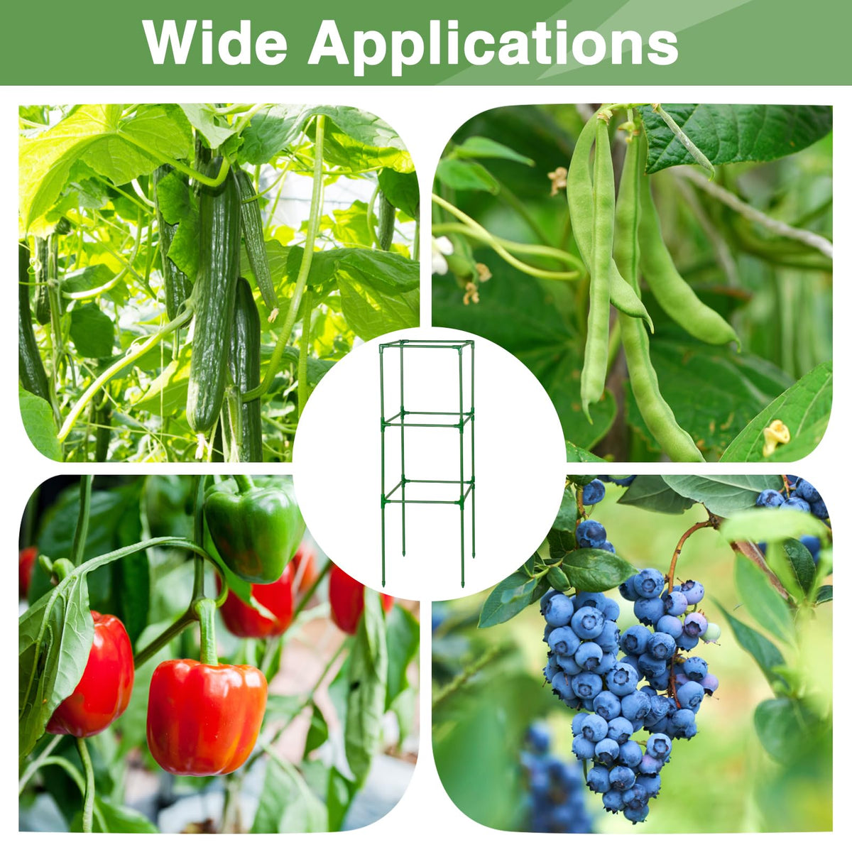 PAMASE outdoor garden use suitable for pots and raised beds