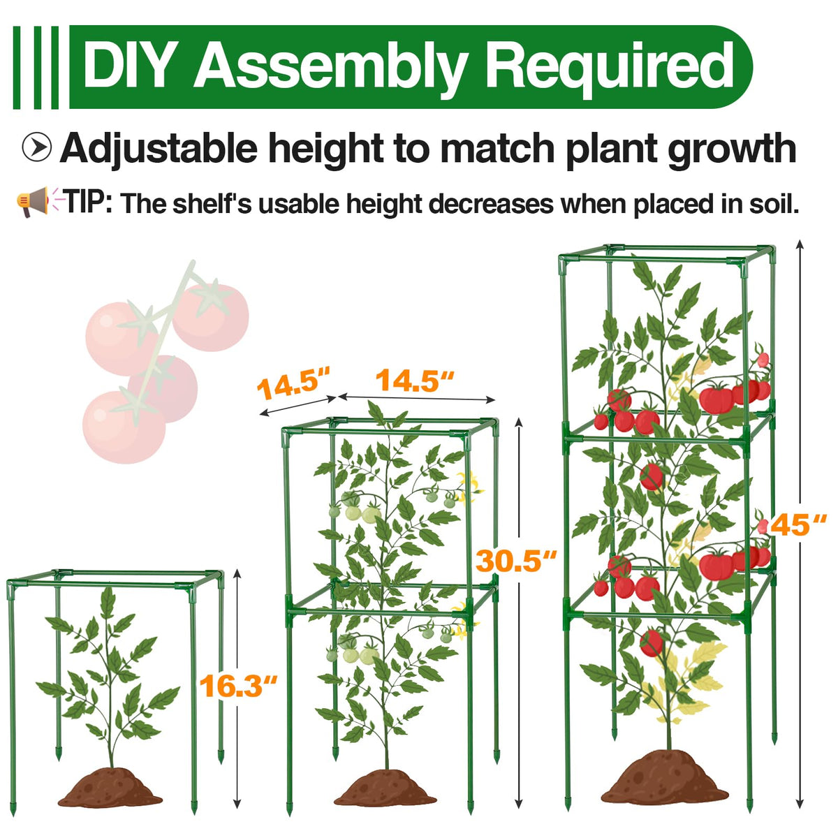 PAMASE rust-resistant coating on metal tomato cages withstands outdoor use