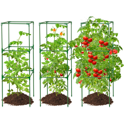 PAMASE square tomato cage assembly showing sturdy support for climbing plants