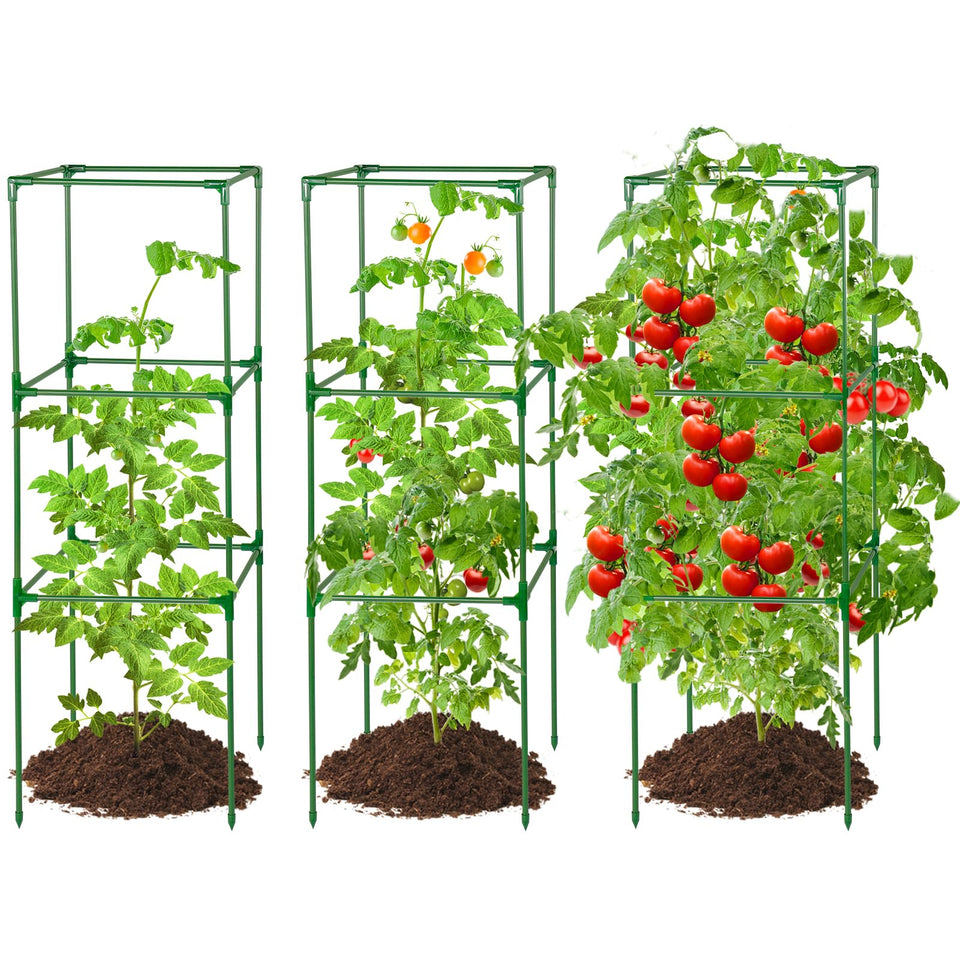 PAMASE square tomato cage assembly showing sturdy support for climbing plants
