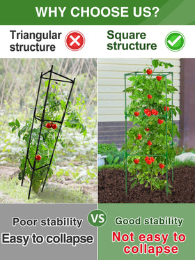 PAMASE three-pack stable frame configuration for versatile trellis setup