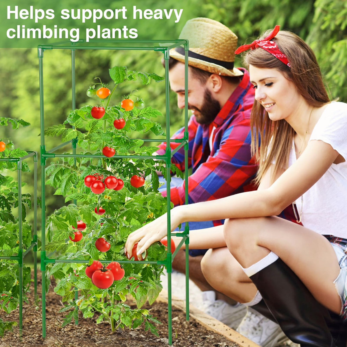 PAMASE works with heavy plants like tomatoes and cucumbers