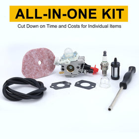 Panari carburetor kit with labels and cables for accurate fit.