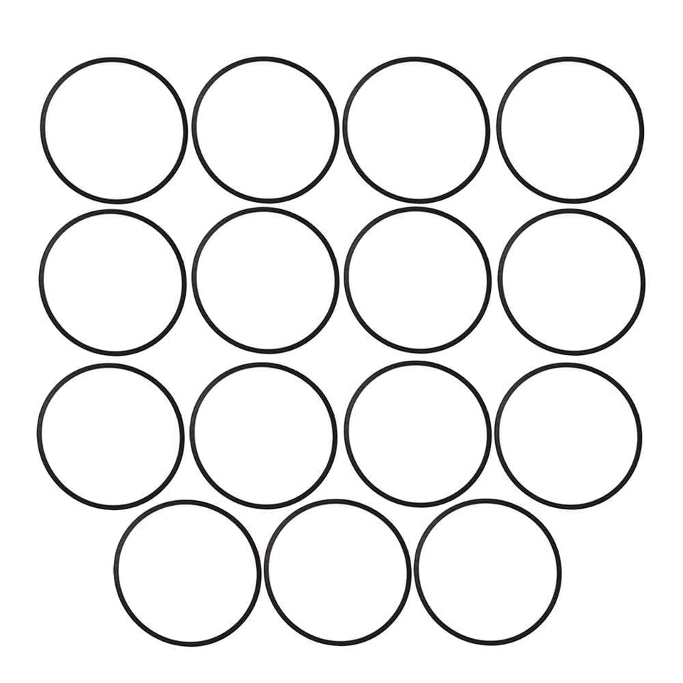 Panari float bowl gasket closeup showing durable seal for Brigs & Straton engines.