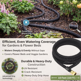 Pangda 5/8 inch drip hose showing root-zone irrigation in action