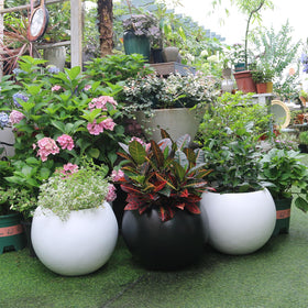 Panlaolao versatile planter for artificial or real greenery